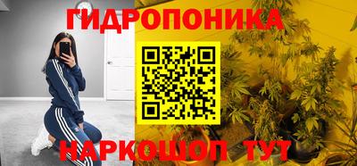 скорость Берёзовский