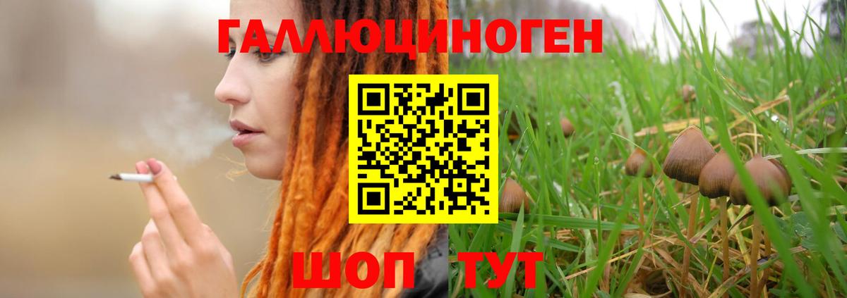 Клин  Галлюциногенные грибы Psilocybe  Вход с VPN 